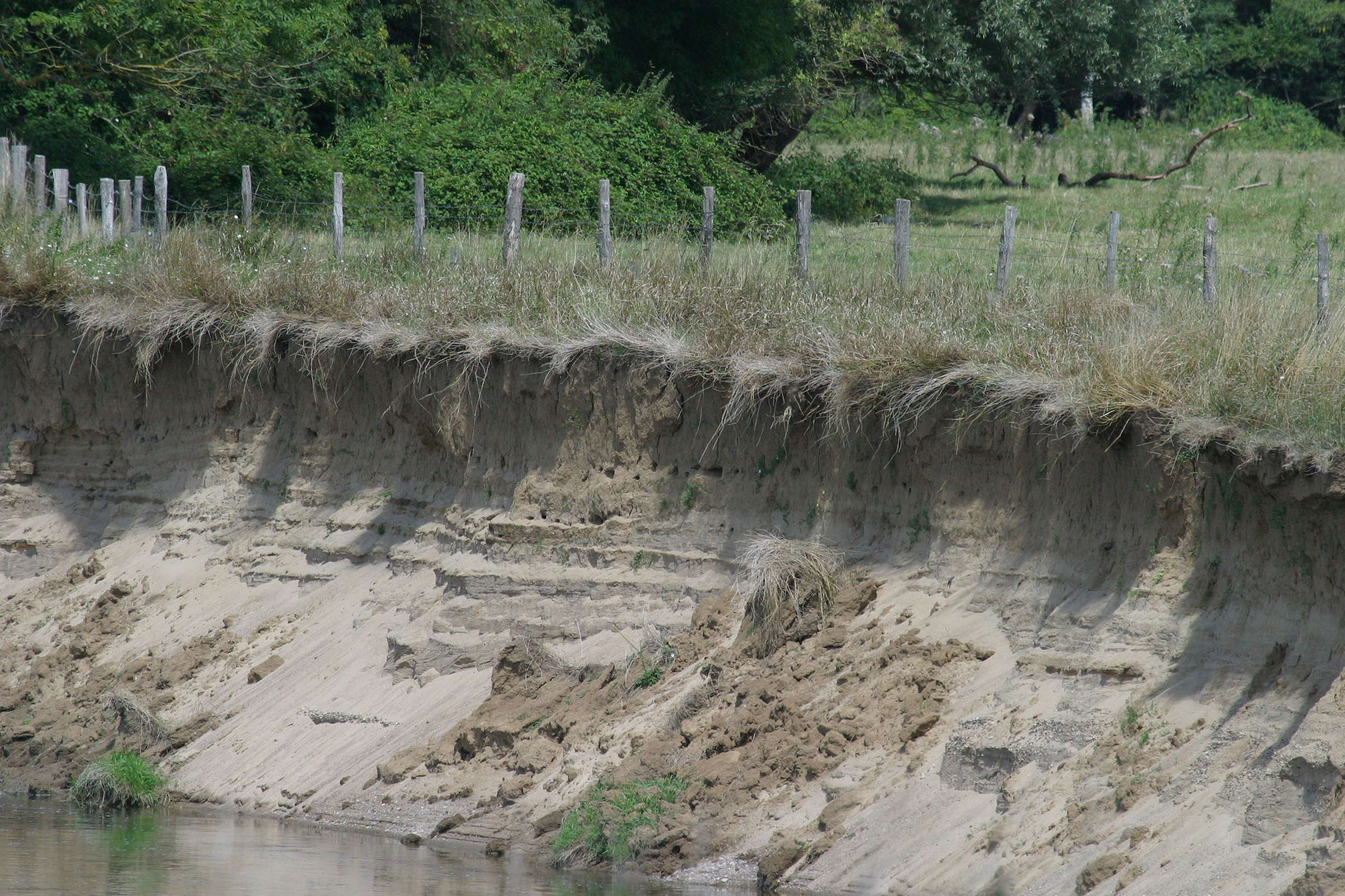 hirondelle_de_rivage_-_riparia_riparia_nids1