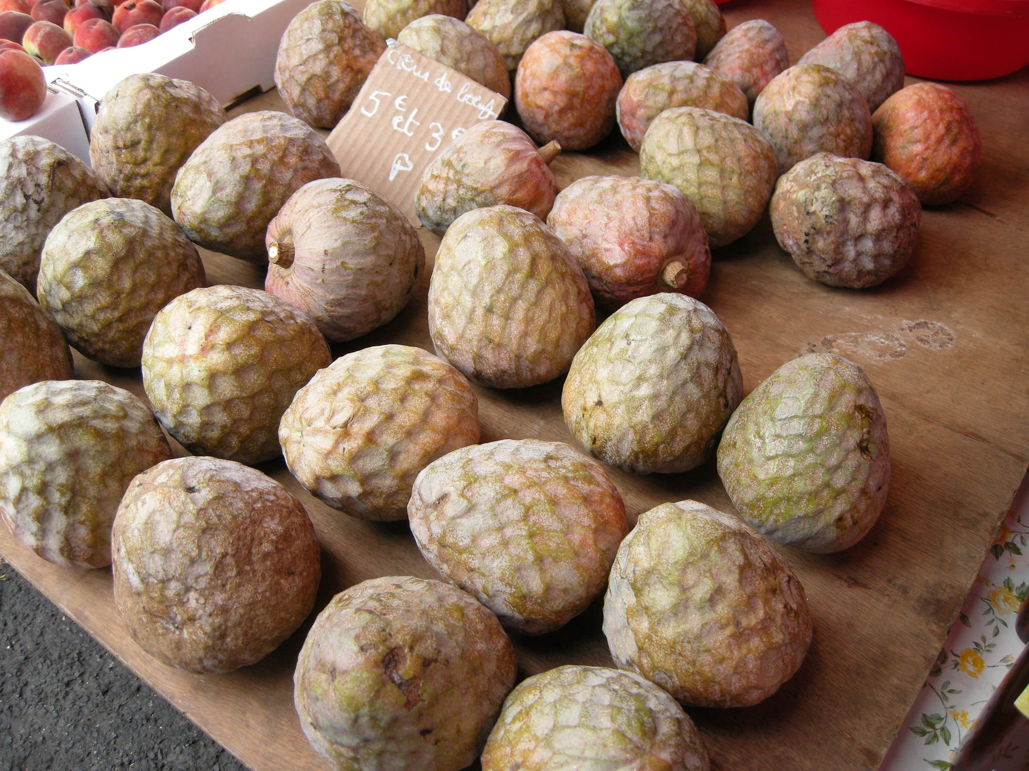 annona_reticulata1md
