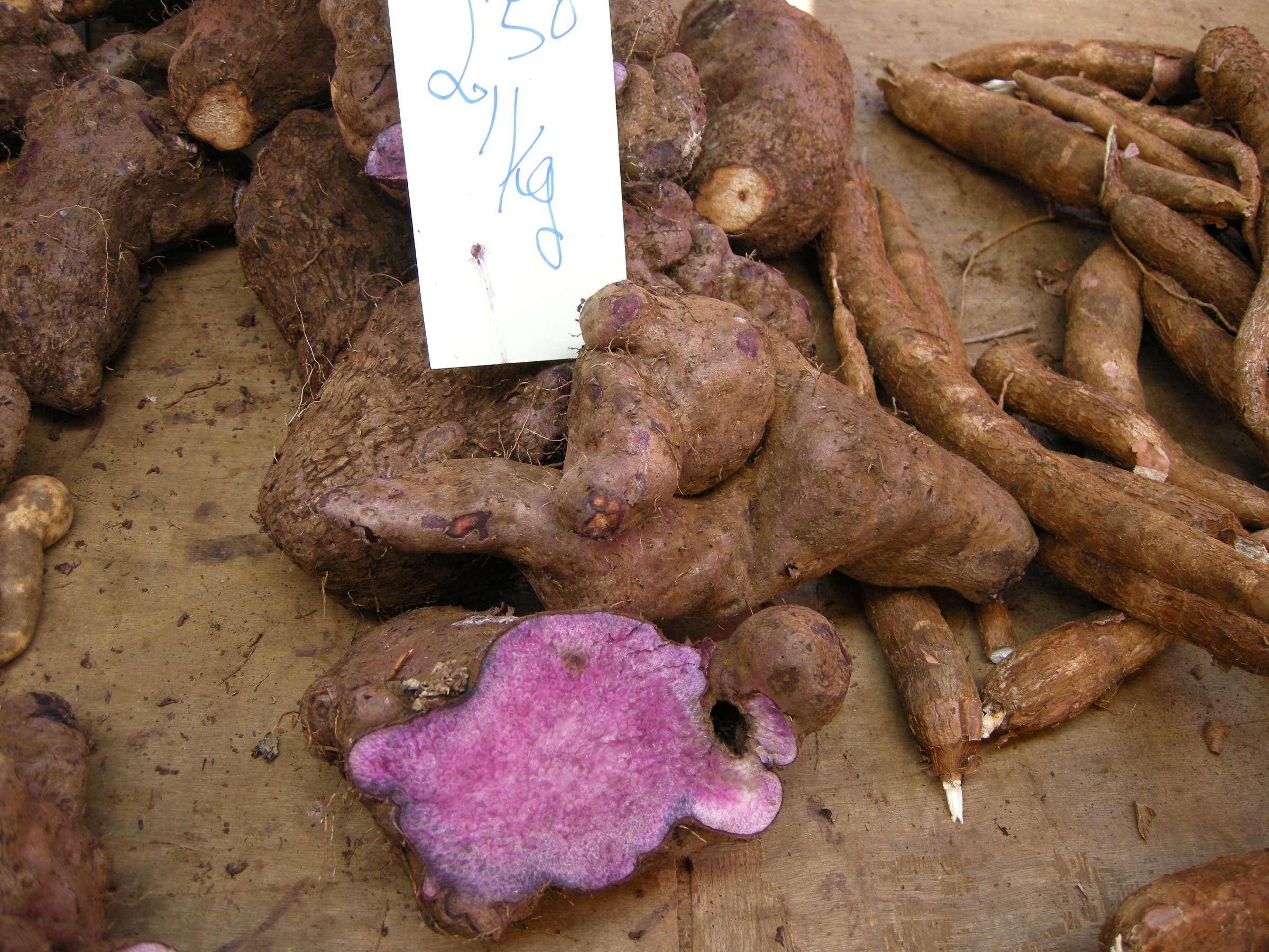 Afficher le média dioscorea_alata1md dioscorea_alata1md