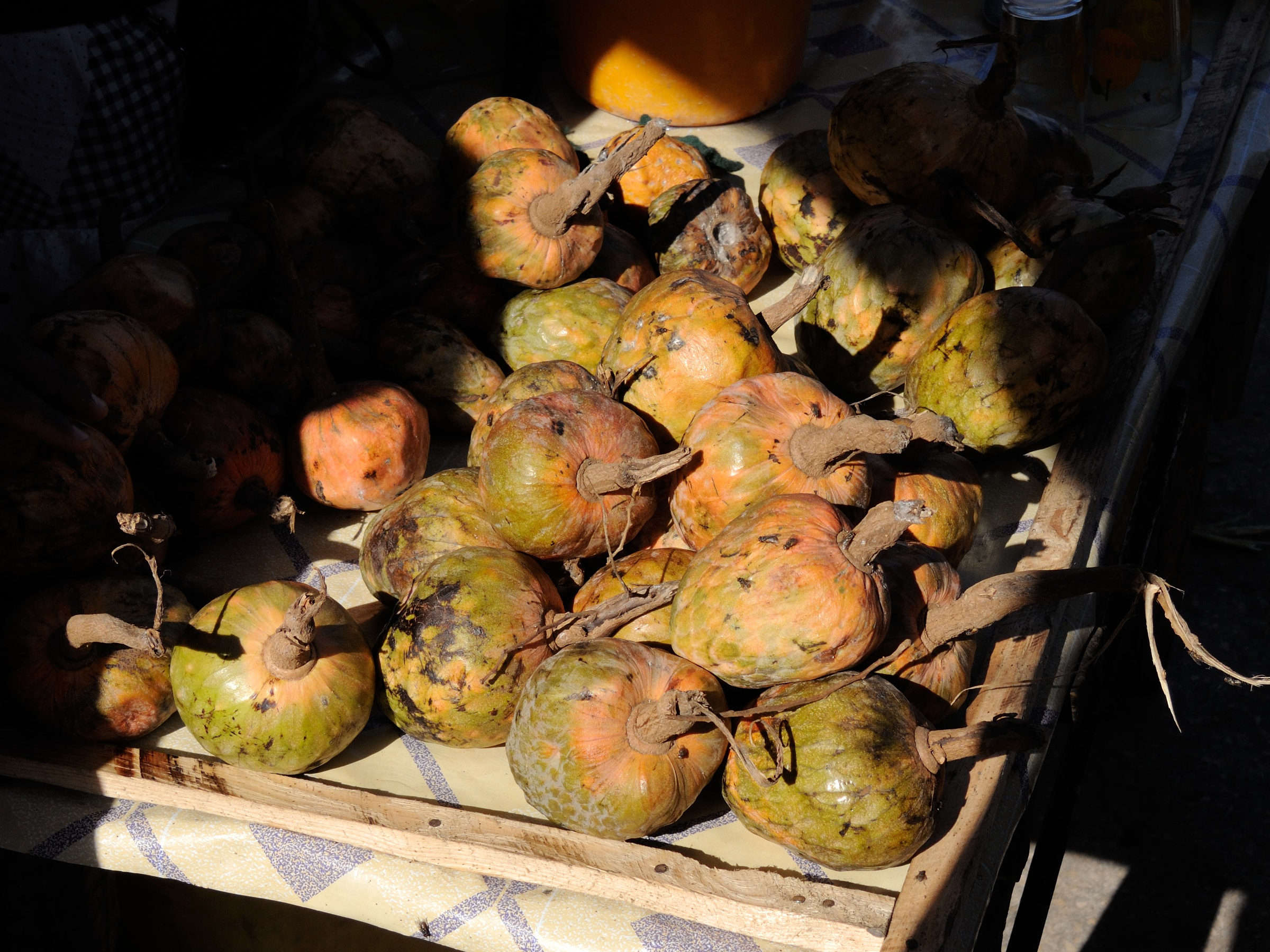 annona_reticulata5md