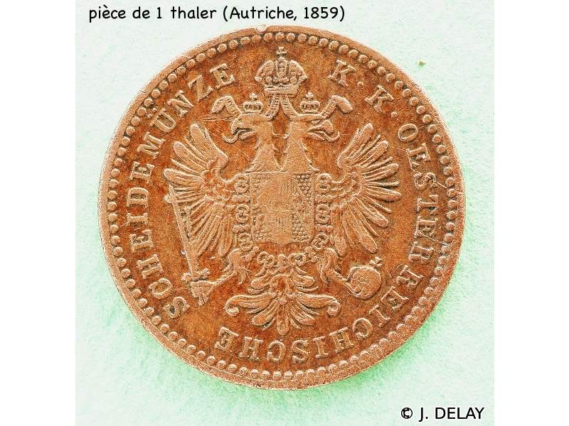 pteridium_aquilinum7jd