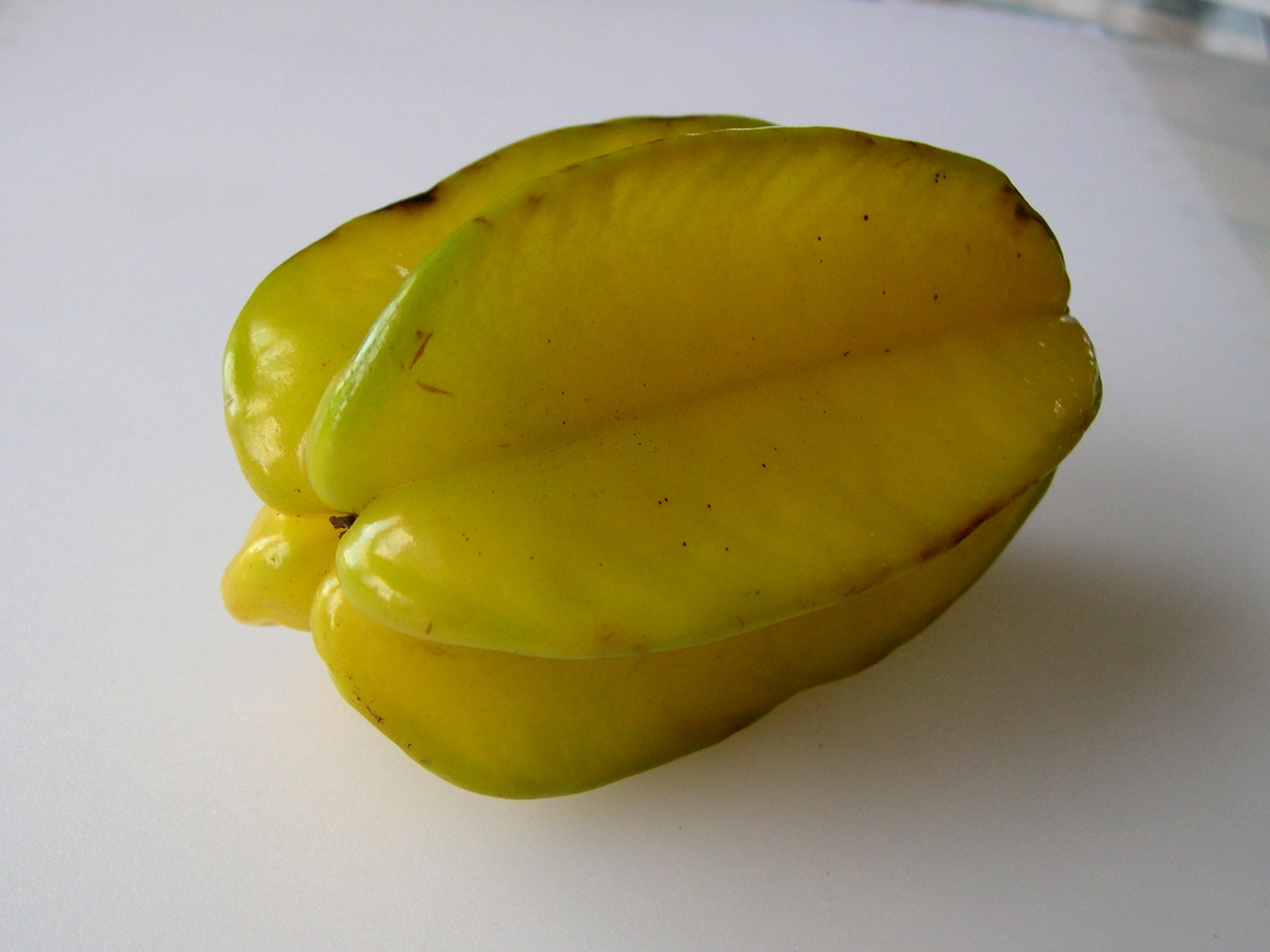 averrhoa_carambola3md
