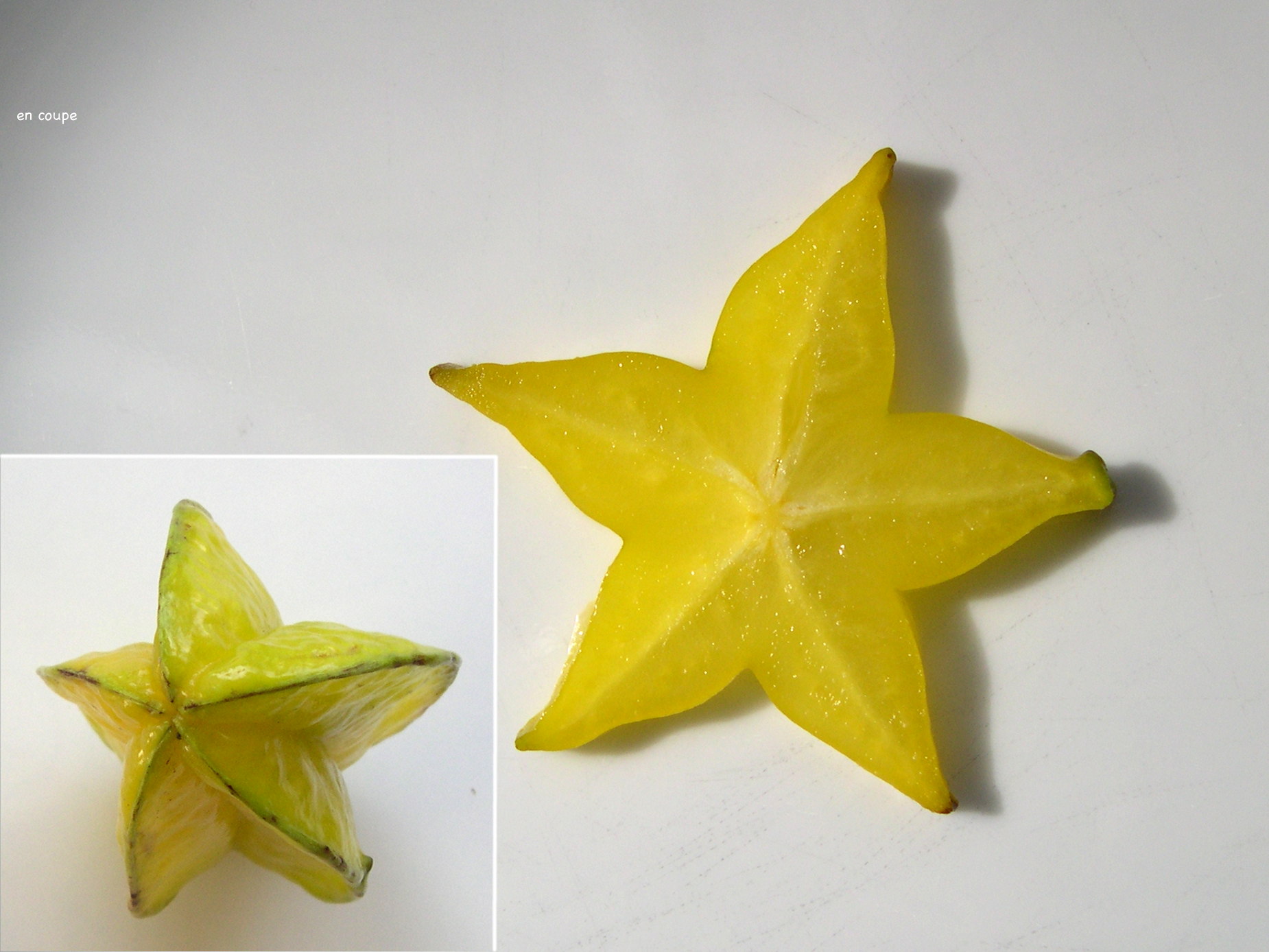 averrhoa_carambola4md