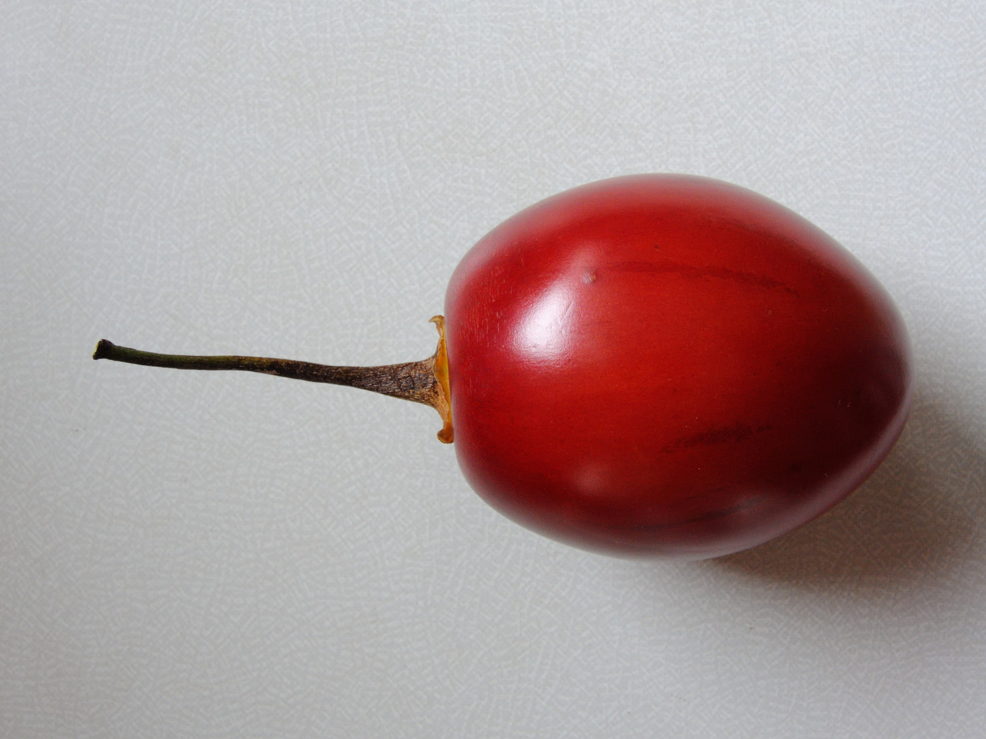 Afficher le média solanum_betaceum3md solanum_betaceum3md