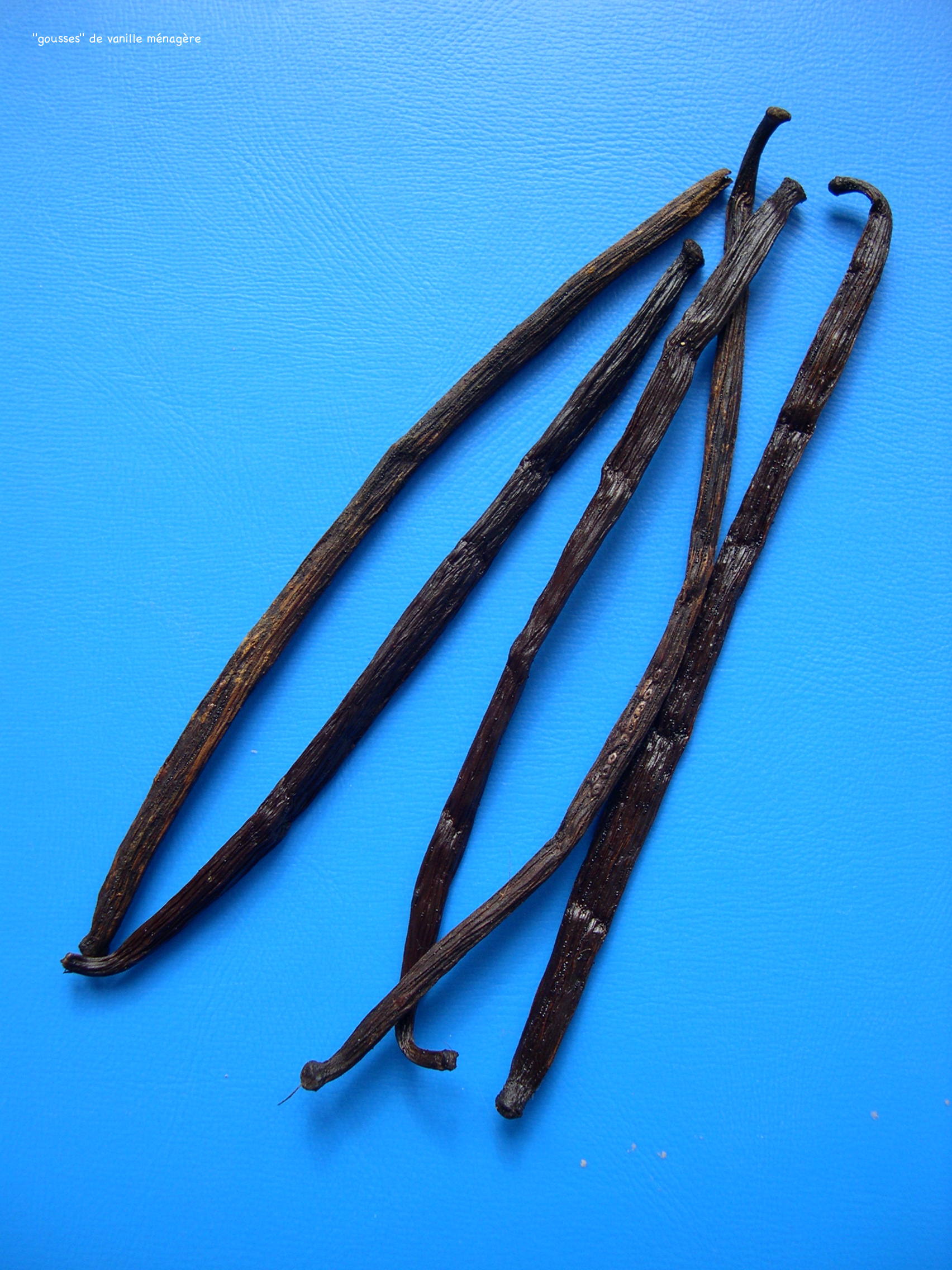 vanilla_planifolia3md