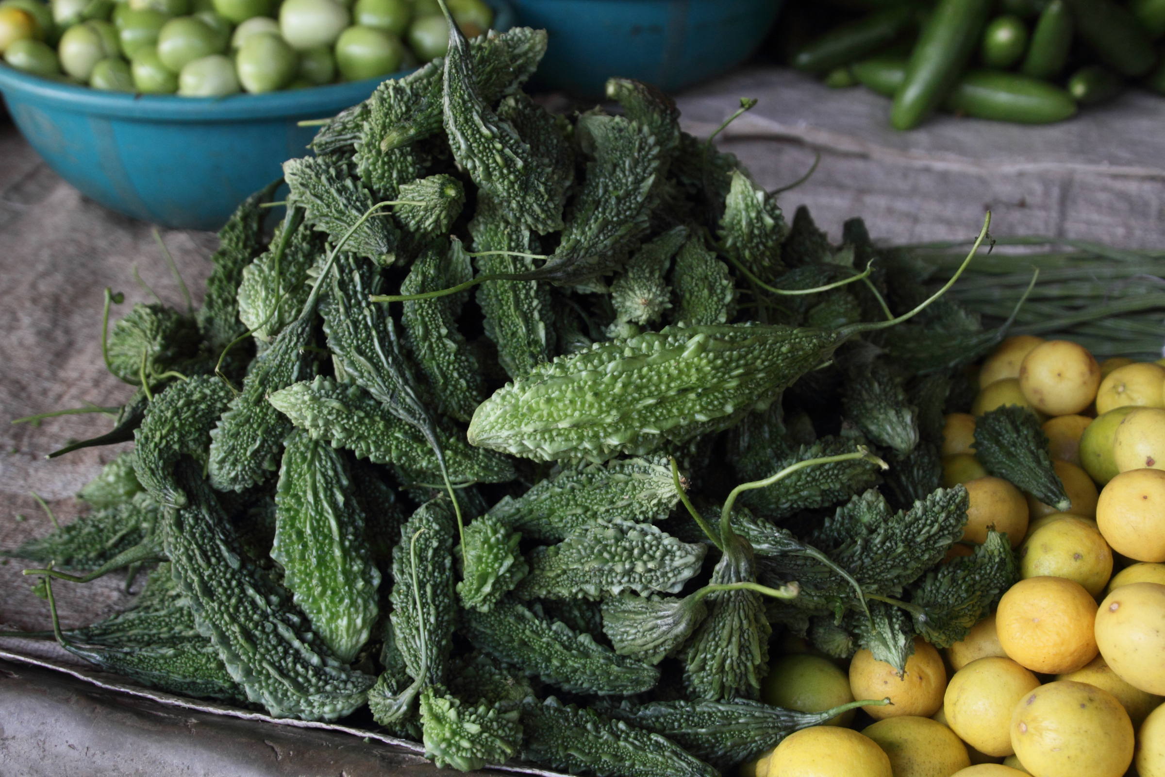 Afficher le média momordica_charantia9md momordica_charantia9md