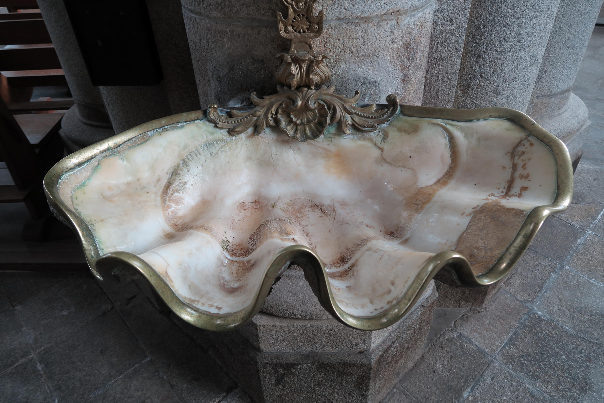 Afficher le média tridacna_gigas1md tridacna_gigas1md