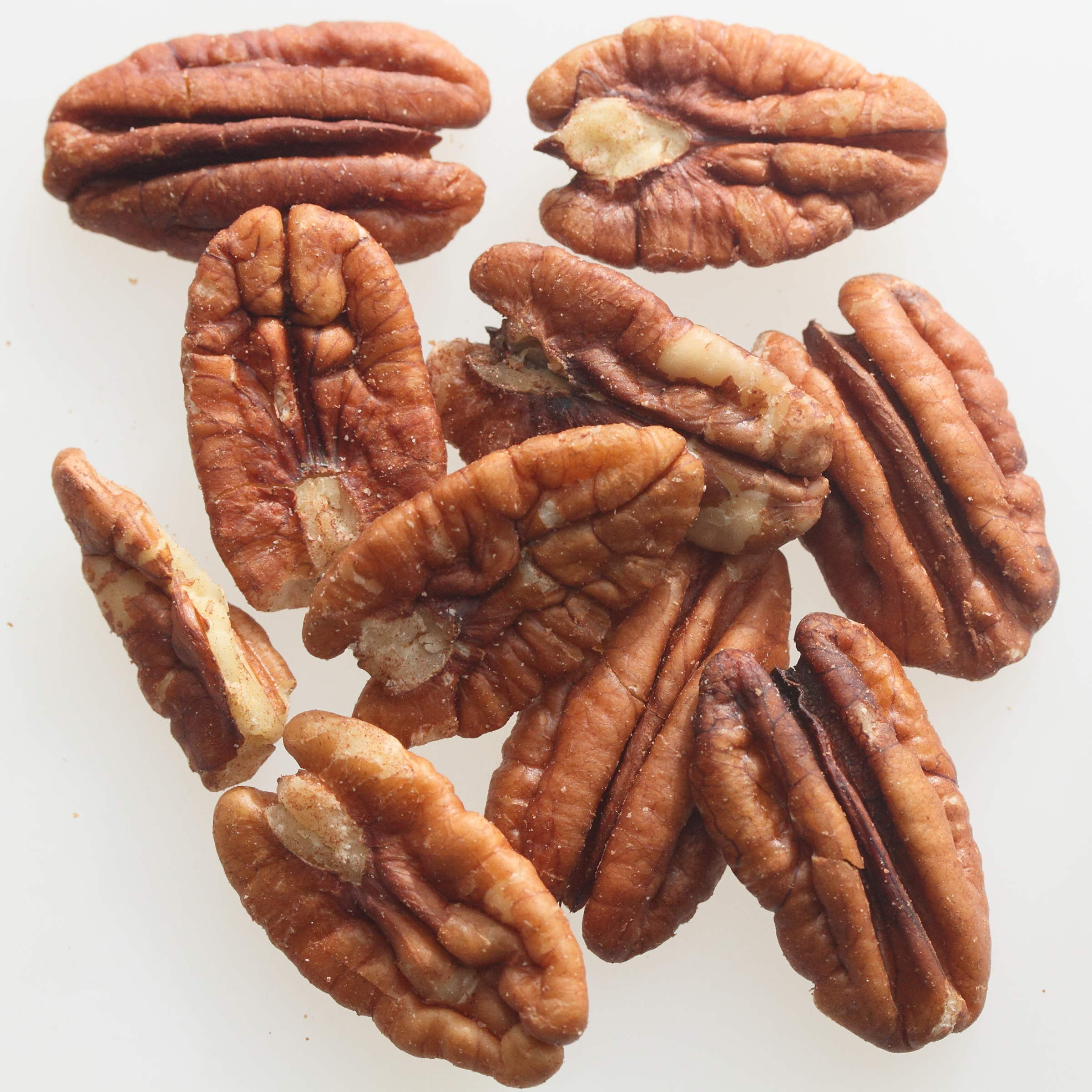 carya_illinoinensis4md