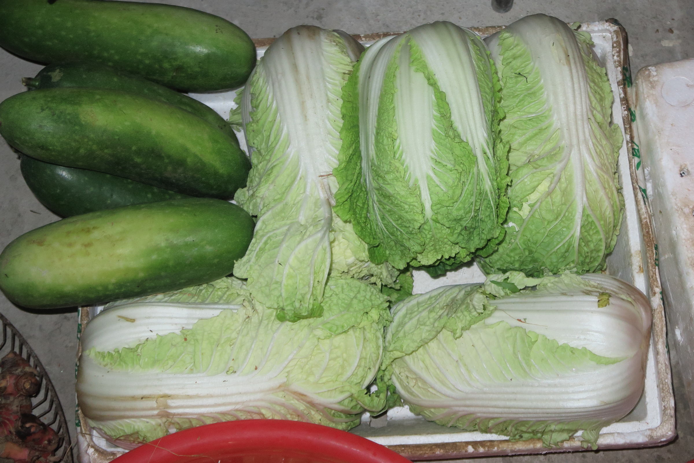 Afficher le média brassica_rapa_pekinensis2md brassica_rapa_pekinensis2md