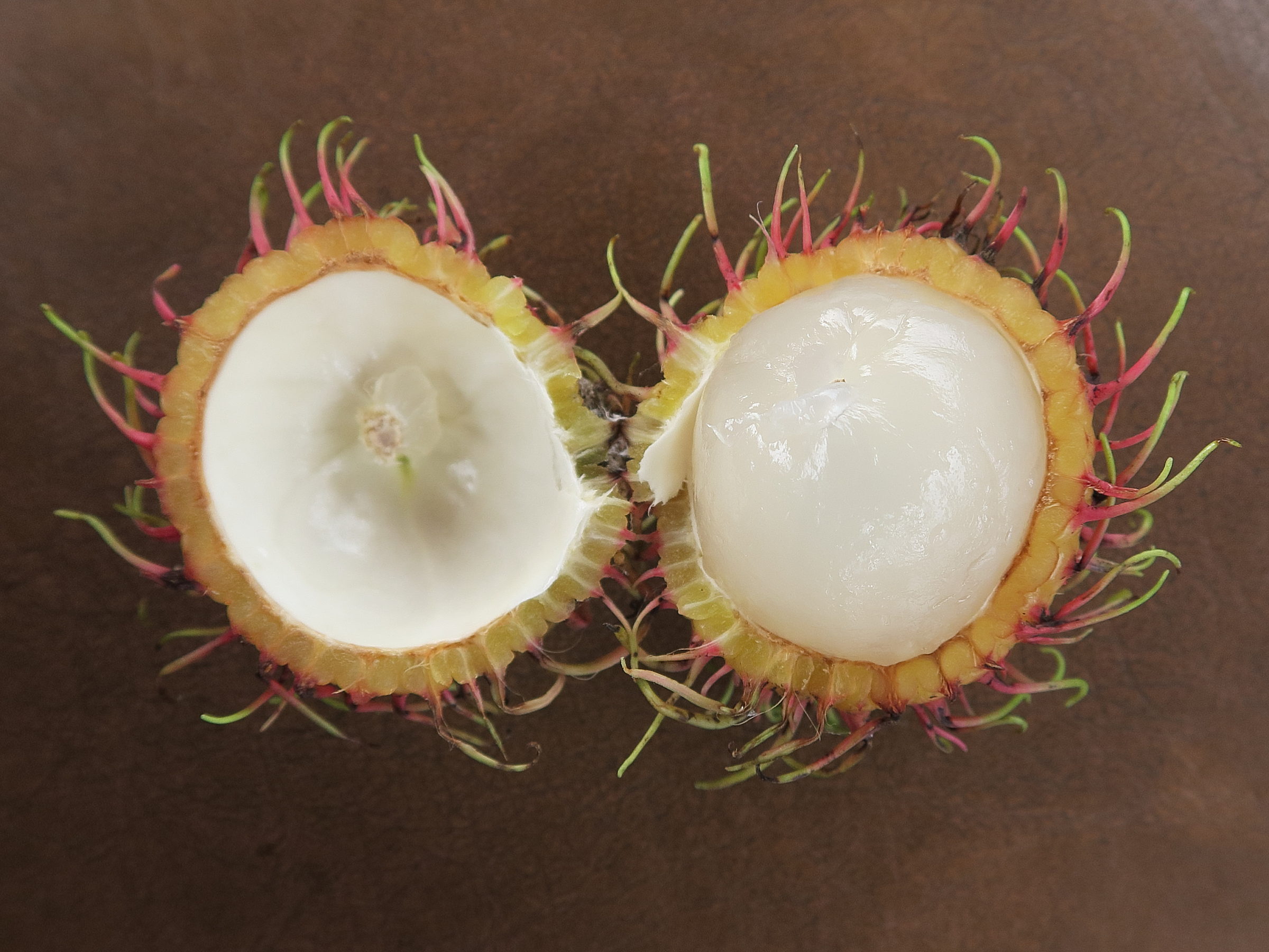 nephelium_lappaceum3md