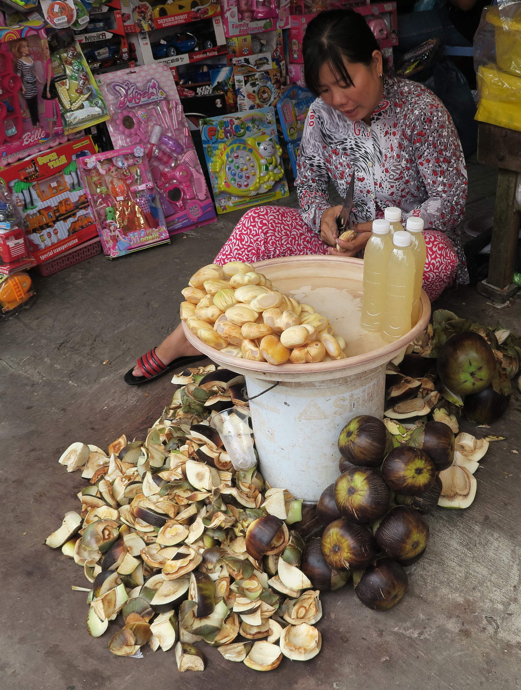 borassus_flabellifer2md