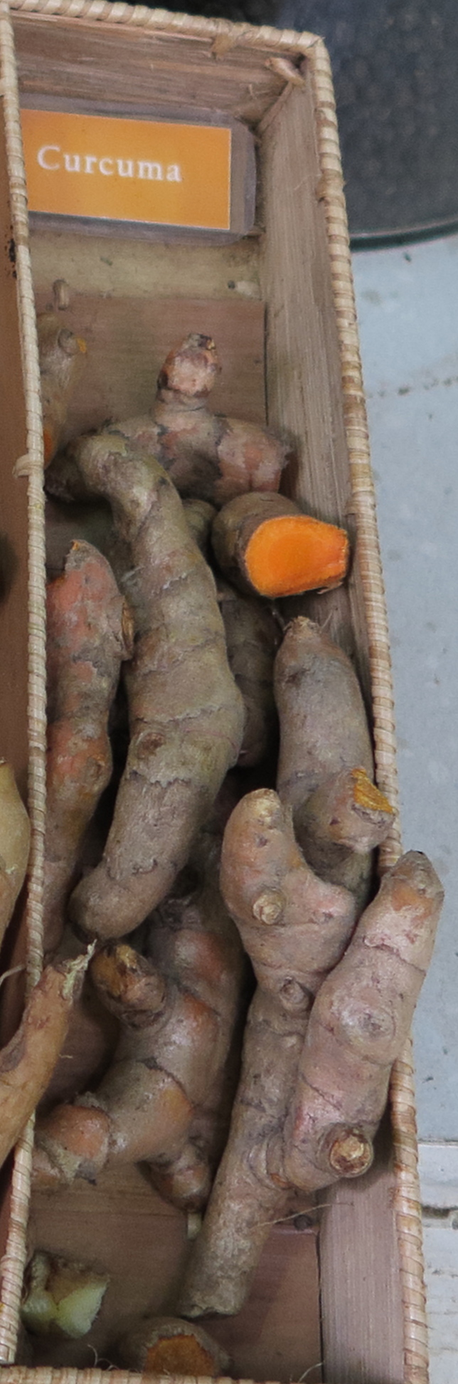 curcuma_longa6md