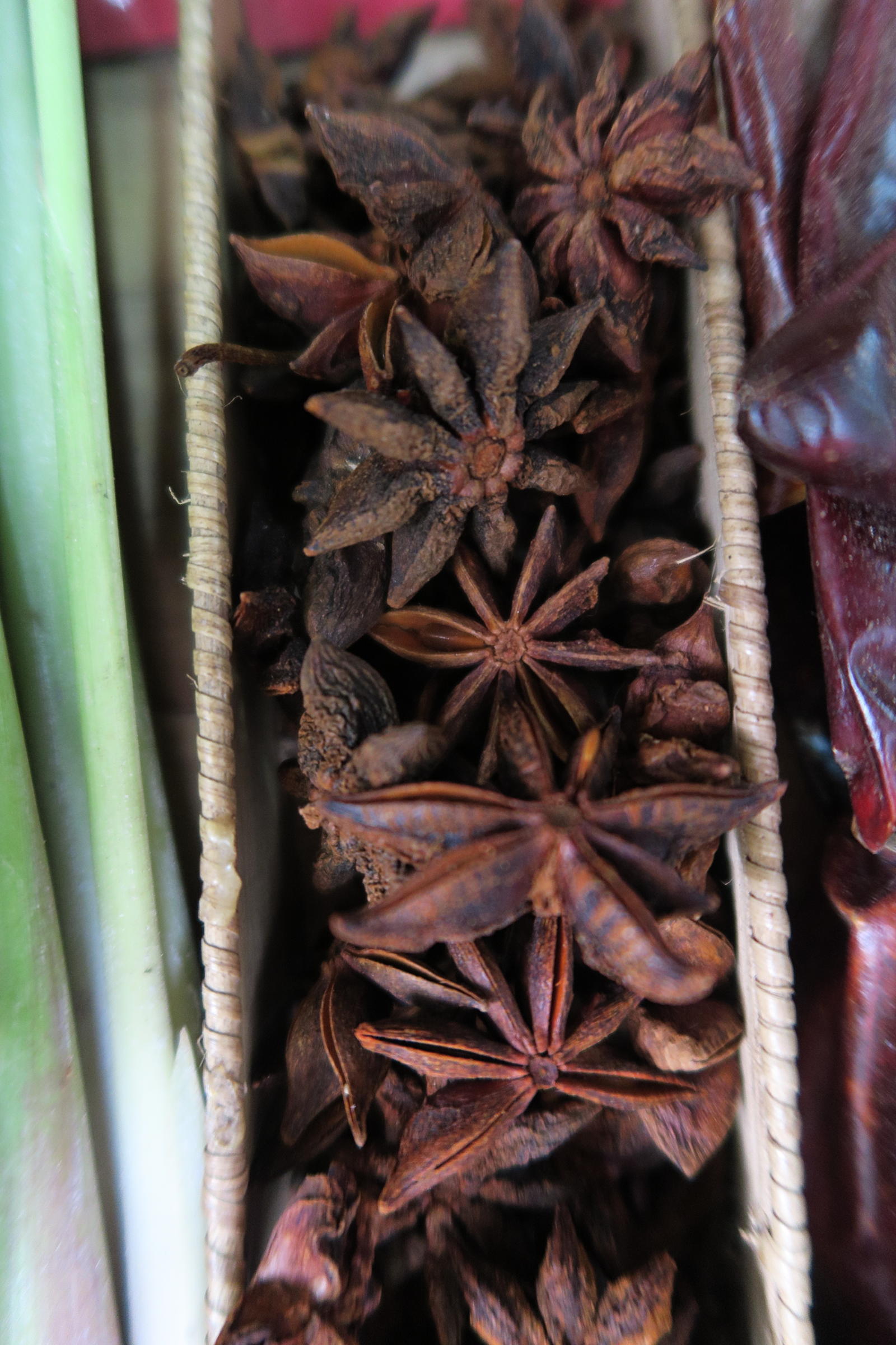 Afficher le média illicium_verum1md illicium_verum1md