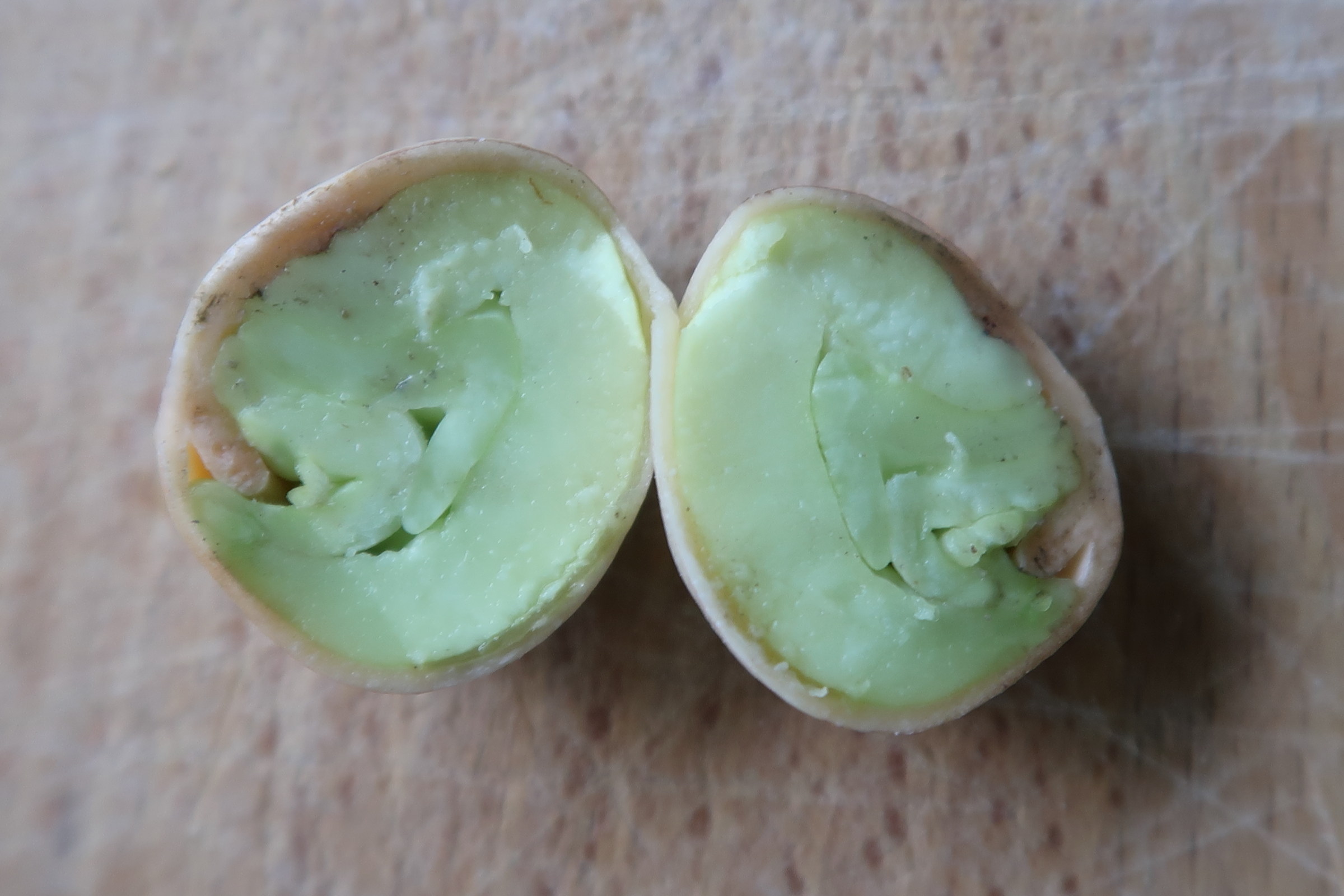 aesculus_parviflora4md