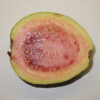 psidium_guajava9md