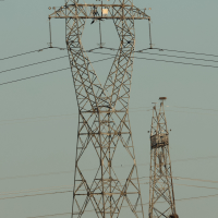 cigogne_blanche_-_ciconia_ciconia11md (Ciconia ciconia)